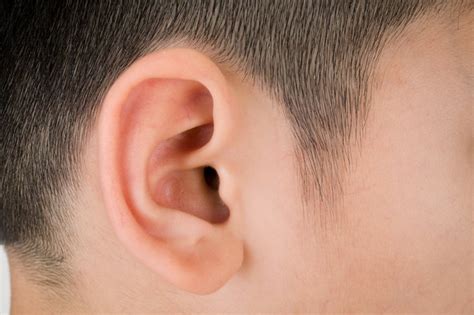 signs symptoms   ear problems livestrongcom