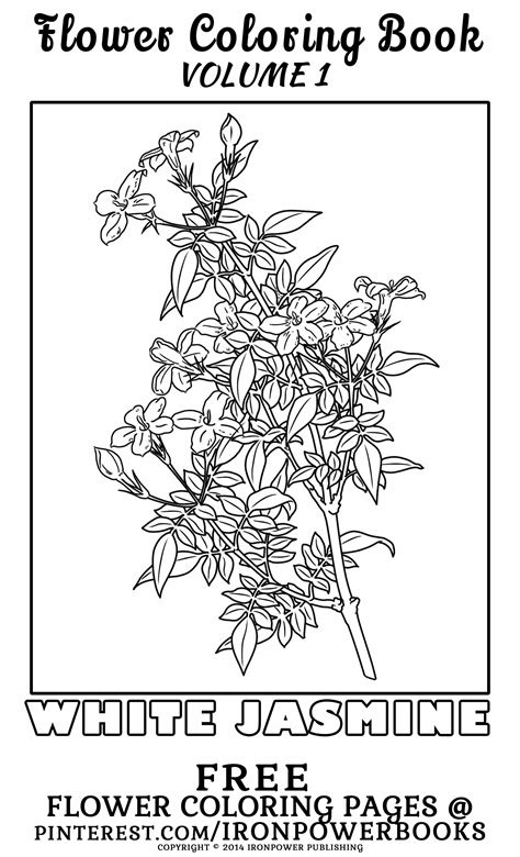 jasmine flower coloring pages yunus coloring pages