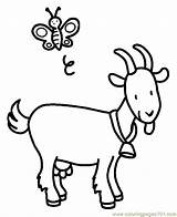 Goat Coloring Pages Printable Color Animals Colorear Para Kids Goats Sheet Animales Animal sketch template