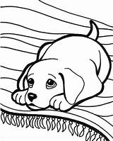 Coloring Cute Puppy Pages Az sketch template