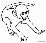 Monkey Baby Affe Monkeys Malvorlagen Cool2bkids Kostenlos Ausdrucken sketch template