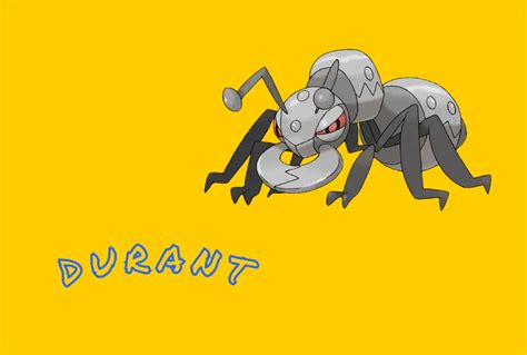 durant pokemon guide  steel ant   steely personality pok universe