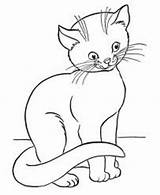 Coloring Pages Cat Kids sketch template