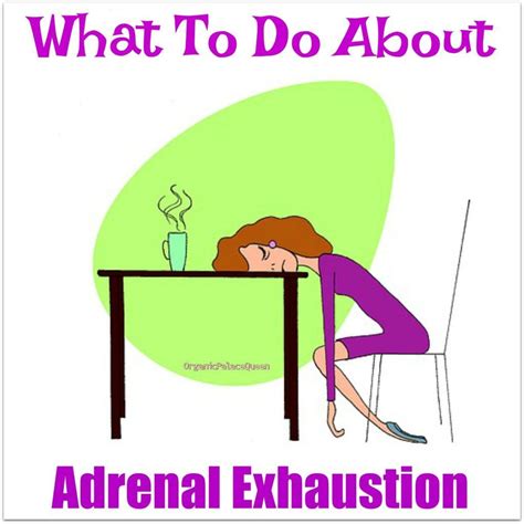 What Is Adrenal Exhaustion And How Is It Treated Organic Palace