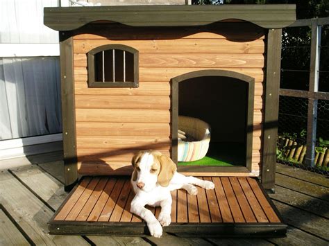 dog house ideas woodz