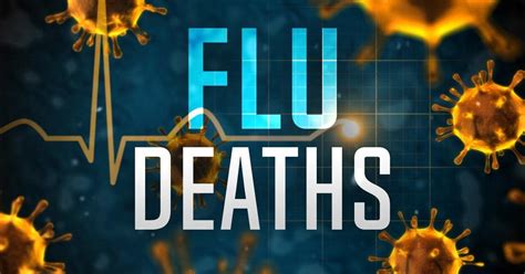 Sioux Falls Area 4th Grader Dies From Flu Complications News