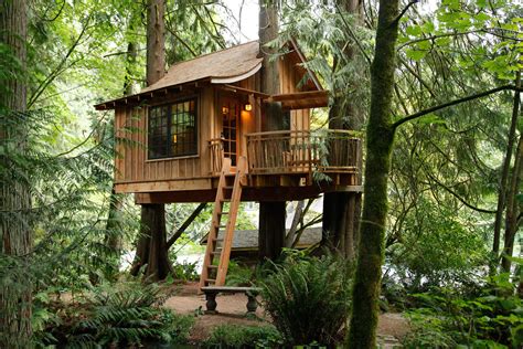 top   tree house hotels   world