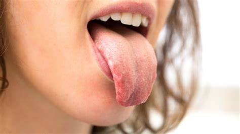 langue tout savoir sur cet organe de la bouche