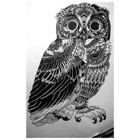 zentangle owl  xcheshjrecatdeviantartcom  atdeviantart animal