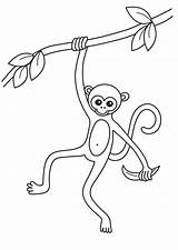 Macaco Colorir Singe Animals Printable Coloriages Colorier Bestappsforkids sketch template