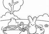 Coloring Peeps Marshmallow Pages Coloring4free Printable Category sketch template