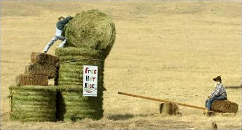 incredible hay bale sculptures     smile  funny