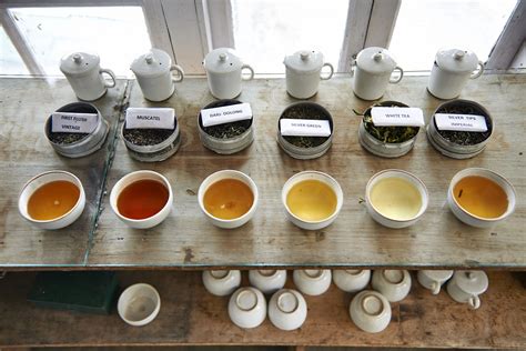 specialty tea industry