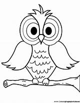 Owl Coloring Pages Cute Comments sketch template