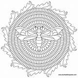Mandala Dandelion Bee Color Coloring Donteatthepaste Transparent Pages Large Book Sheets sketch template
