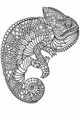 Animales Mandalas Colorear24 Iguana Dificiles sketch template