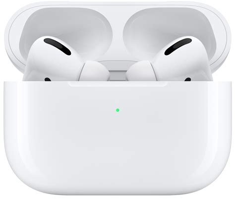 clean  airpods pro ear tips  case