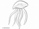 Jellyfish Coloring Pages Illustrations Printable Kids sketch template