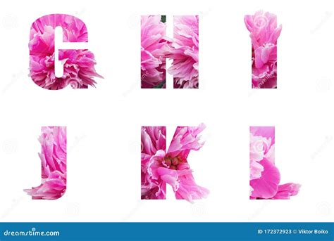 floral pink letters  decoration  design stock image image