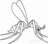 Clipart Mosquito Outline Coloring Insects Animals Printable Insect Cartoon Clip Getcolorings Clipartmag Recent sketch template