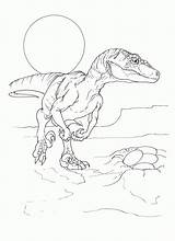 Coloring Jurassic Park Pages Rex Simple Popular sketch template