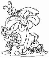 Coloring Pages Life Bugs Printable sketch template