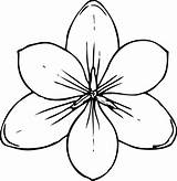 Clipart Orchid Coloring Flower Clip Webstockreview Flowers Drawing sketch template