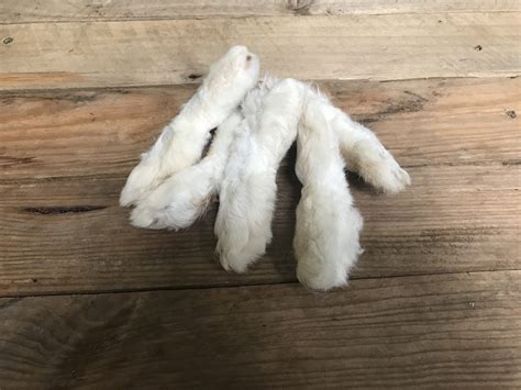 dried hairy rabbit feet pcs nuneaton raw pet food