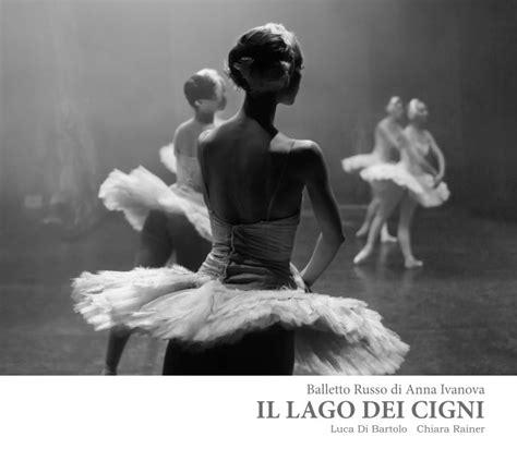 Il Lago Dei Cigni By Luca Di Bartolo Chiara Rainer Blurb Books