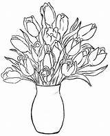 Vase Drawing Flower Flowers Vases Sketch Roses Rose Coloring Tulip Pages Bouquet Drawings Painting Step Yellow Without Table Sketches Getdrawings sketch template