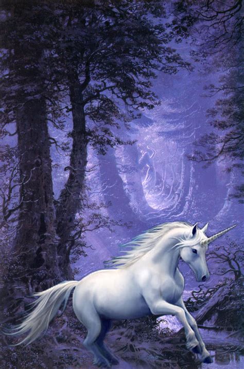 Unicorn In The Purple Mist By Craftycosplayer On Deviantart