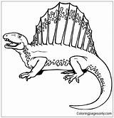 Dimetrodon Pages Coloring Color Online Dinosaur Printable sketch template