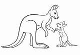 Kangaroos Kangourou Kangourous Kangaroo Maman Coloriages Famille sketch template