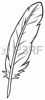 Piuma Piume Tooling 123rf Clip Feathers Sheath Venduto Learntodrawresource sketch template