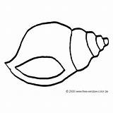 Malvorlagen Muschel Malvorlage Fische sketch template