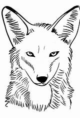 Coyote Colorare Kolorowanki Cartonionline Coloriage Coiote Disegno Coloriages Ausmalbilder Zeichentrick Kojote Dibujosanimados Animes sketch template