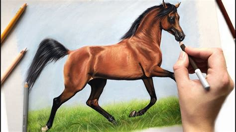 drawing  beautiful arabian horse mikaal  pastel pencils youtube