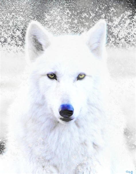 snow wolf  nick gustafson
