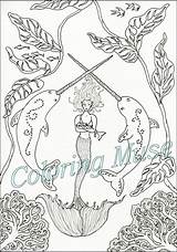 Coloring Narwhal Mermaid Mythical Pages Creatures Printable Etsy sketch template