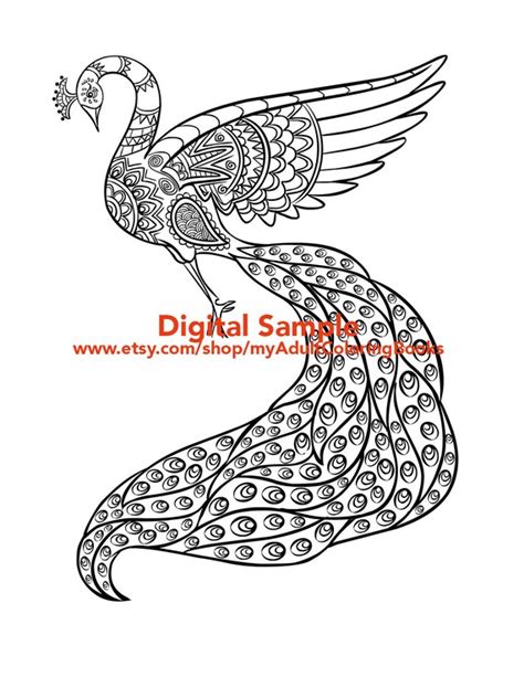 peacock coloring page  adults peacock adult coloring page