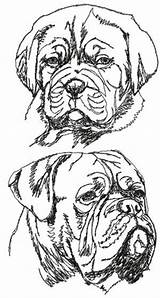 Bordeaux Dogue Mastiff Dog Advanced Drawings Pencil Boxer Designlooter Burdeos Dogo Breeds Clipground sketch template