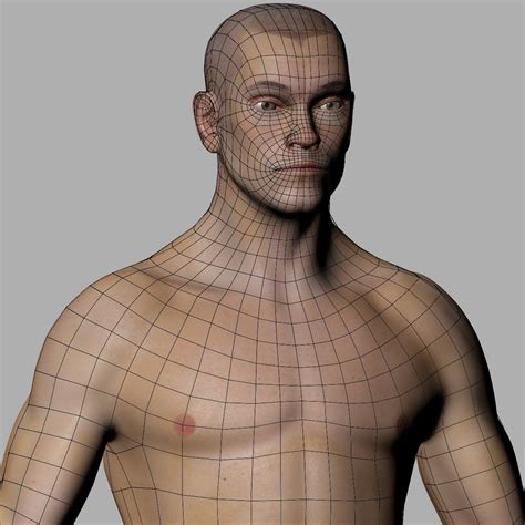 realistic male body  rigged  model  obj fbx ma freed