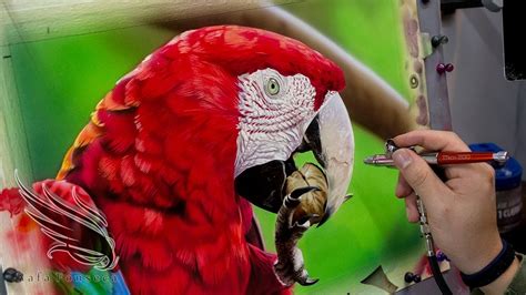 painting parrot airbrush bird parrot rafa fonseca youtube
