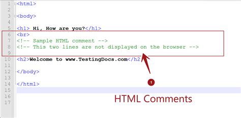 html comments testingdocscom