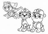 Patrol Paw Coloring Marshall Pages Skye Print Halloween Drawing Bubble Ready Action Printable Characters Sheets Pages2color Color Getcolorings Patr Sketch sketch template
