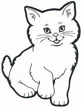 Cat Coloring Pages Color Persian Printable Getcolorings sketch template