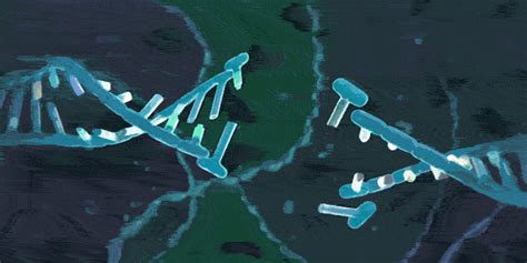 How The Crispr Patent Fight Could Shape The Future Of Genetic