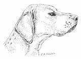 Foxhound sketch template