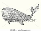 Whale Illustration Vector Zentangle Clipart Fotosearch Style Tribal Stress Patterned Ornamental Drawn Anti Coloring Tattoo Poster Hand Adult Print Pages sketch template