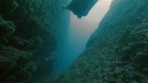 aqua lung oceanwings  underwater human flight experience youtube